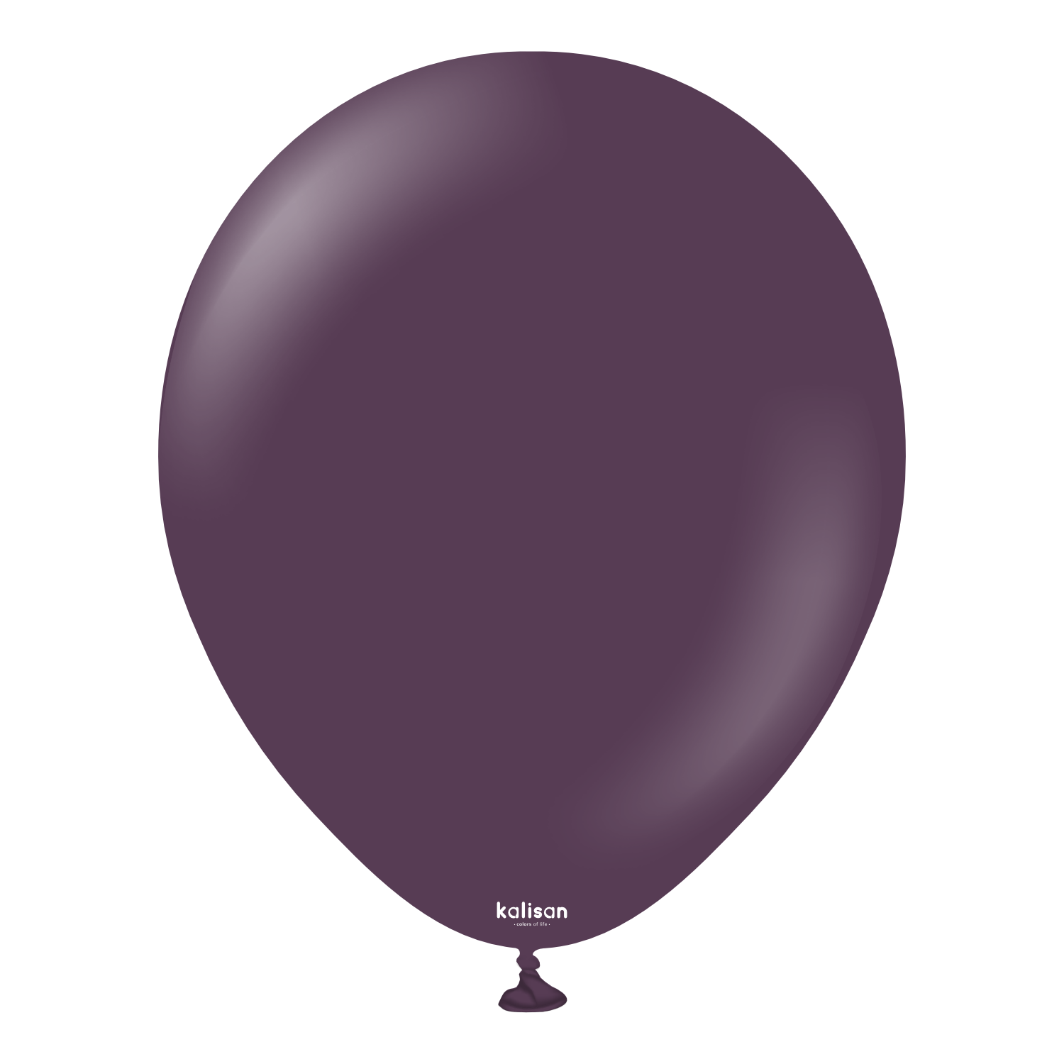 12'' Standart Balon Erik (Plum) 100’lü