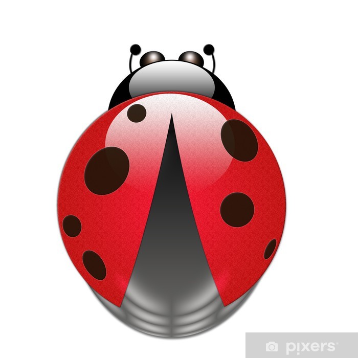 Rota Parti Test Ürünü